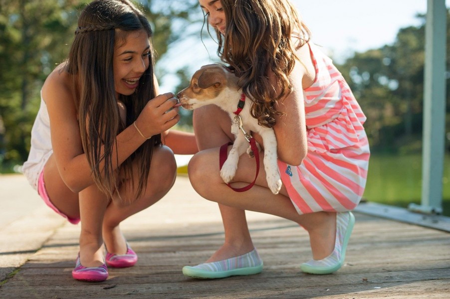 Enfants et chiens : comment s’en sortir ?